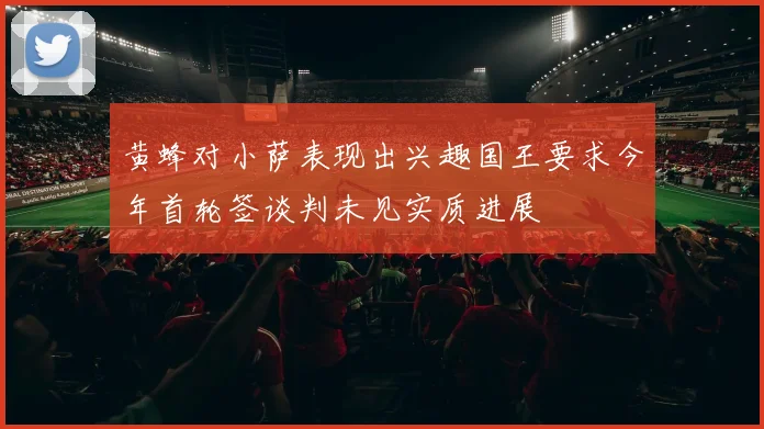 黄蜂对小萨表现出兴趣国王要求今年首轮签谈判未见实质进展